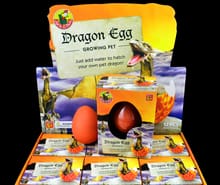 Hatch'em DRAGON Egg