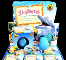 Hatch Em DOLPHIN Egg