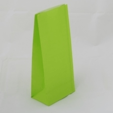 Paper Bag- Lime