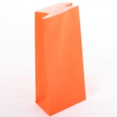 Paper Bag- Orange